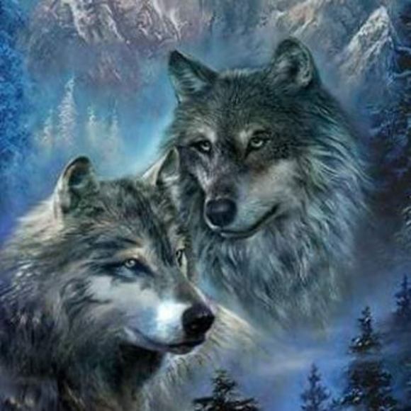 Meet your Posher, Crystal - Picture 1 of 1